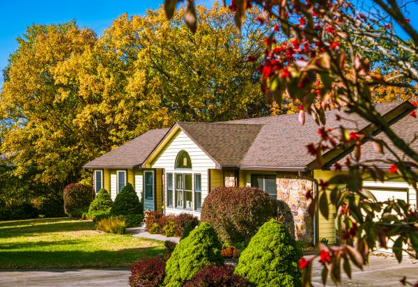 Ranch Landscaping in Madera