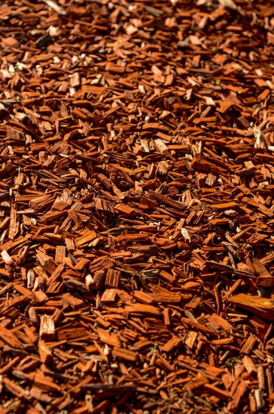 Cedar Mulch Spreading in Madera