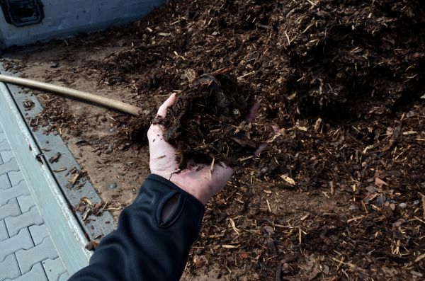 Condo Mulching in Madera