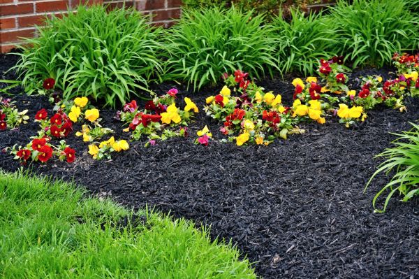 Apartment Mulching in Madera