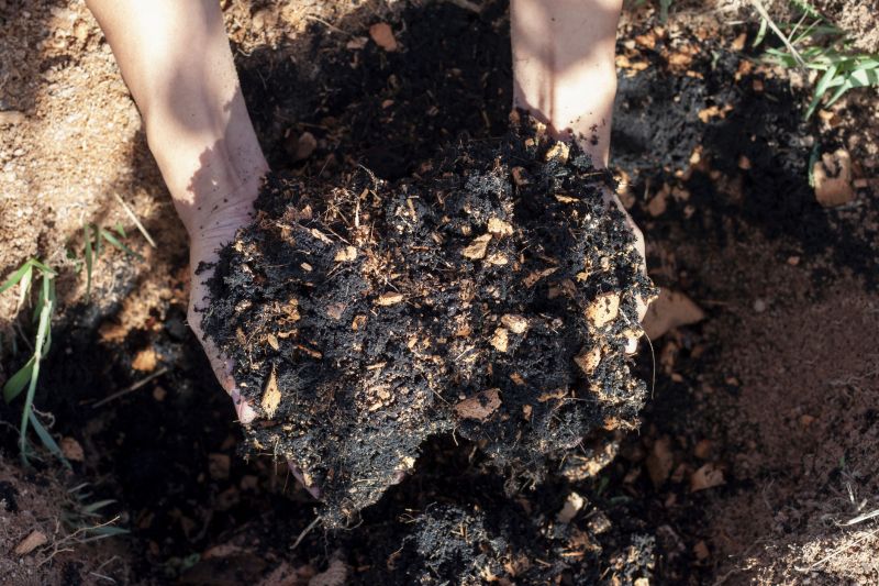 Mulching and soil preparation