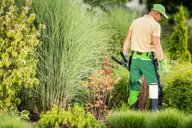 Professional landscapers assessing a yard